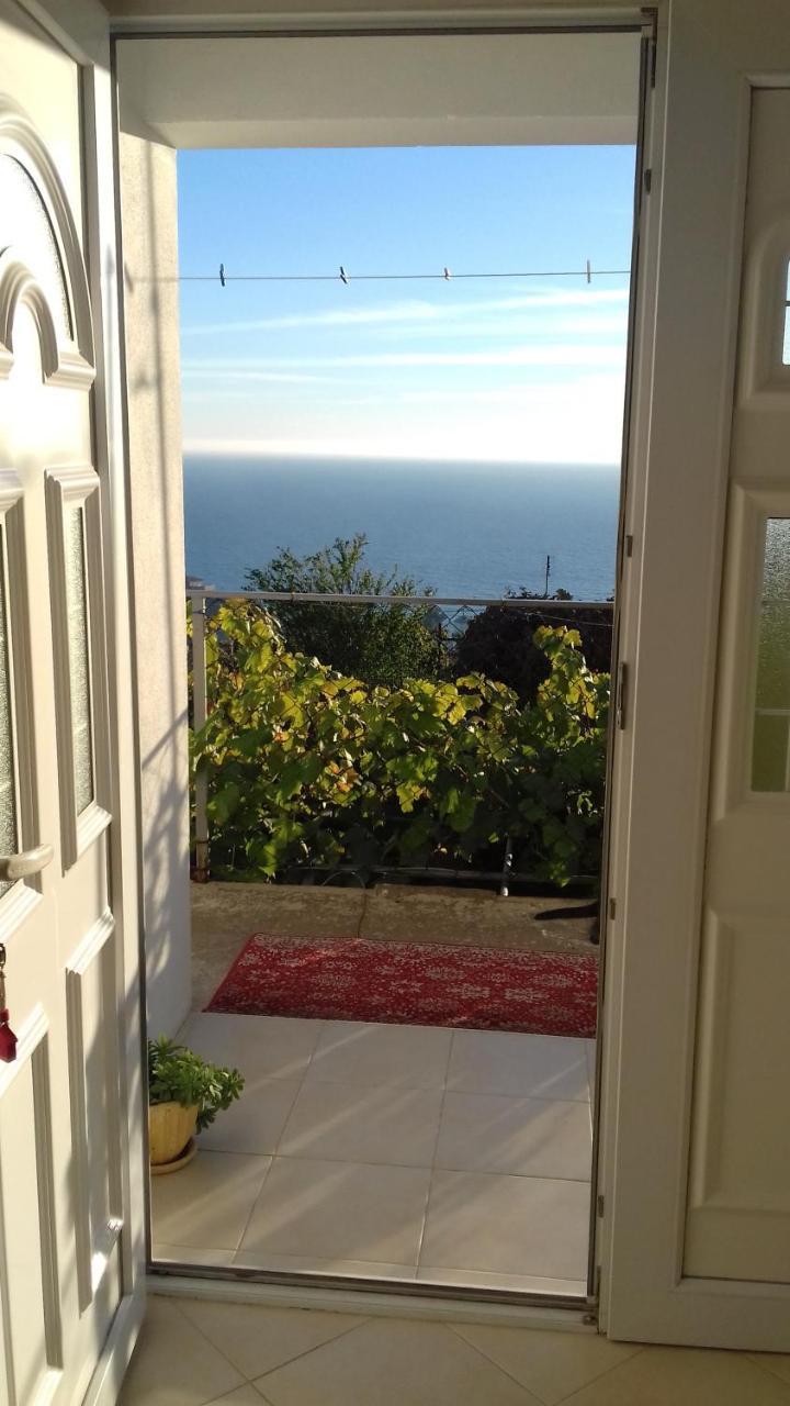 Apartment Vuk I Novak Ulcinj Extérieur photo